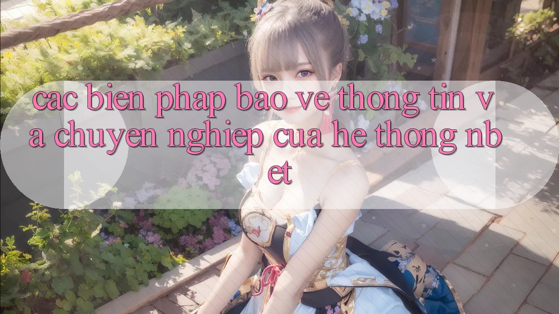 Các Biện Pháp Bảo vệ thông tin Và Chuyên nghiệp Của Hệ thống NBET