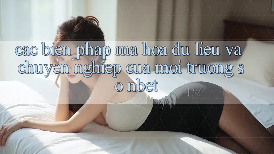 Các Biện Pháp Mã hóa dữ liệu Và Chuyên nghiệp Của Môi trường số NBET